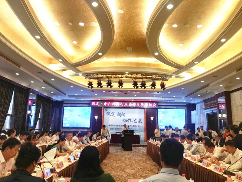 瀛和保定持續助力京津冀協同發展和雄安新區建設！
